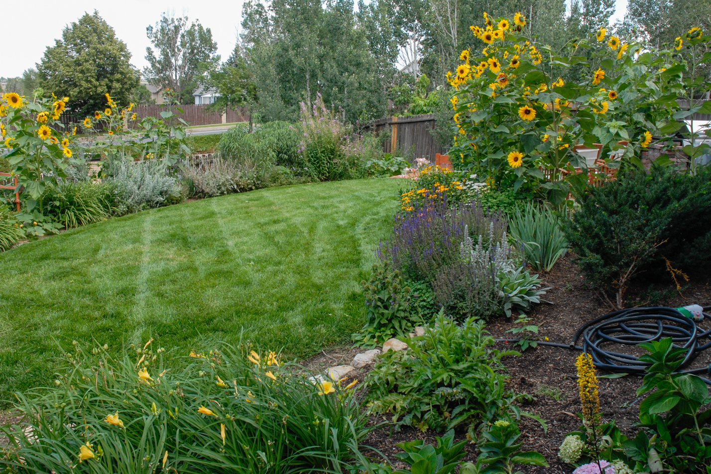 Terraced Turf Backyard